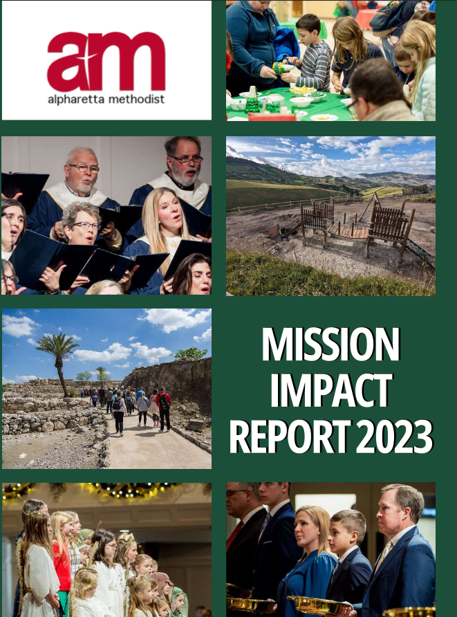 mission impact report