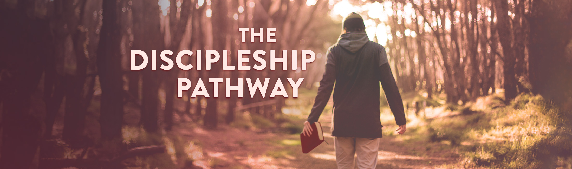 the discipleship pathway